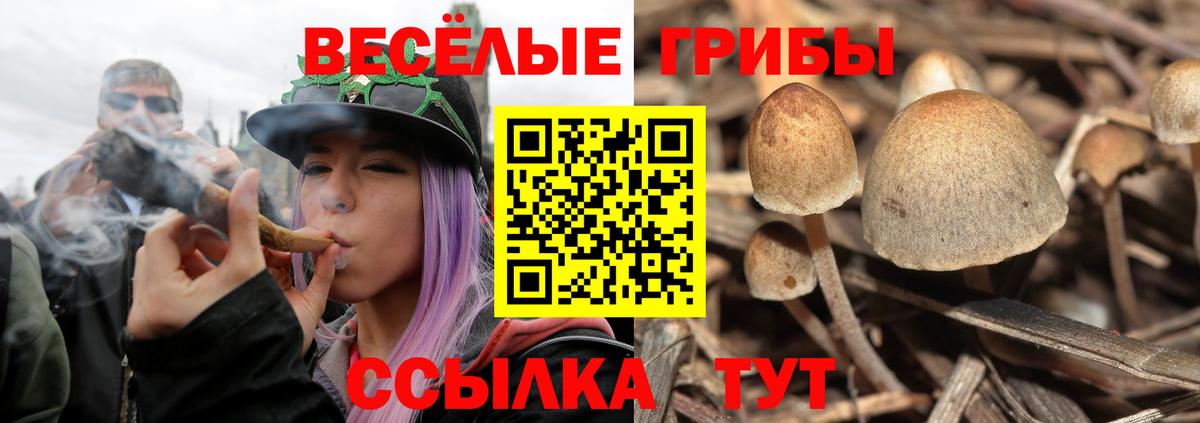 Лесозаводск  Псилоцибиновые грибы Psilocybine cubensis  Псилоцибиновые грибы GOLDEN TEACHER  Вход с VPN 