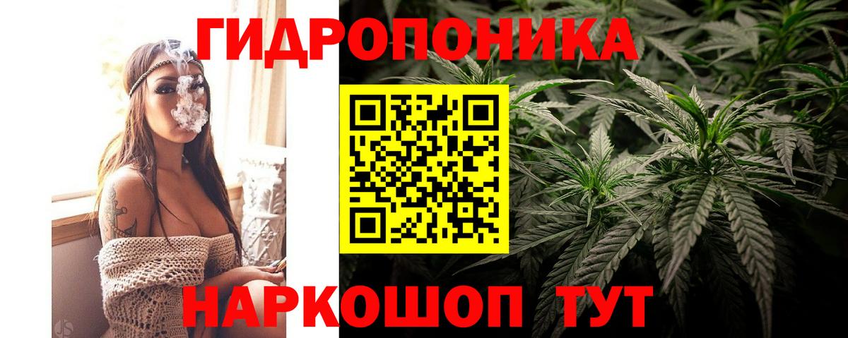 Каннабис конопля Лесозаводск